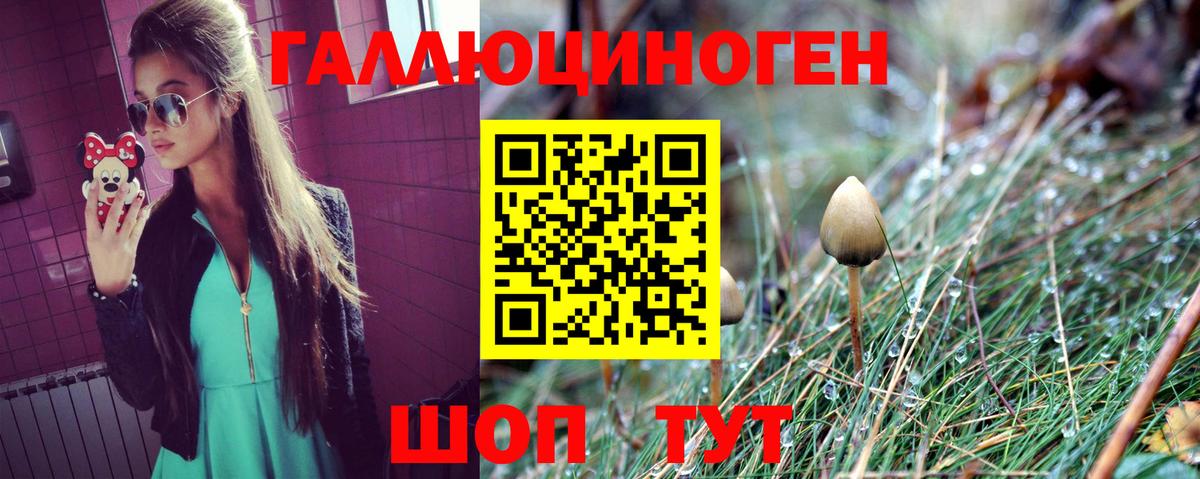 Псилоцибиновые грибы Cubensis  Вход с VPN  Выборг 